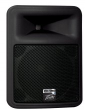 PEAVEY PR 15D